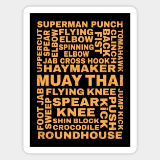 Guide to Muay Thai Magnet